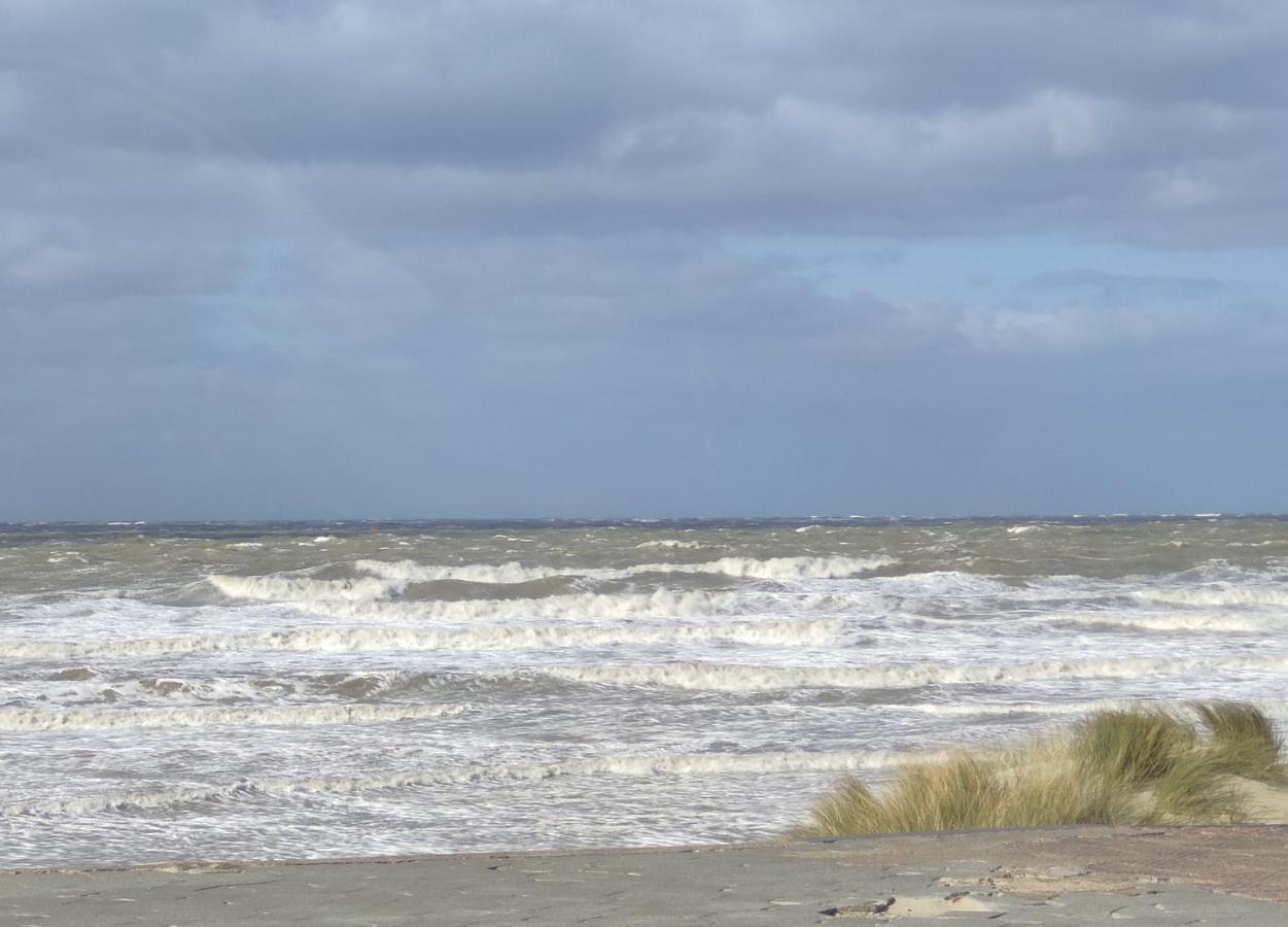 Plage Et Jardin A Malo Les Bains Δουνκέρκη Εξωτερικό φωτογραφία